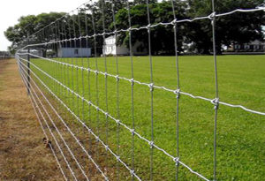 Field Fencing